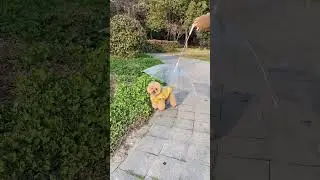This dog umbrella is a game-changer for rainy walks