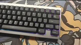 Baion Larva w/Cherry Hyperglide Brown + PP Plate + DCS WoB Intro
