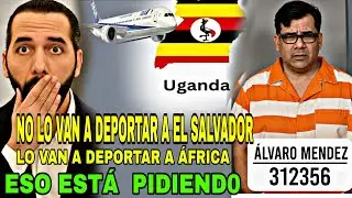 Alvaro Mendez no sera Deportadoo A El Salvador? Est&aacute;  Pidiendo ser Deportadoo A Africa..😱😱
