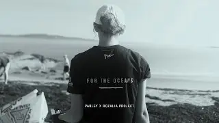 Parley x Rozalia: An Expedition to Clean Up the Gulf of Maine