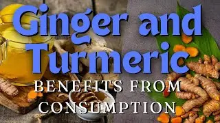 Health Benefits and Myths of Ginger and Turmeric  @ginger @turmeric
