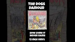 🎙️#8 The Dogs Damour How Come It Never Rains 12 inch single  #vinyloftheday #vinylrecordcollection