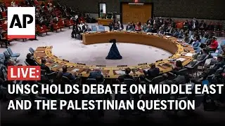 LIVE: UN Security Council holds debate on Middle East, Palestinian question