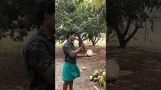 3/4 LITER COCUNUT CUTTING #trendingvideo #short #coconut