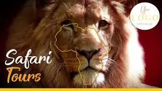 Travel to Africa