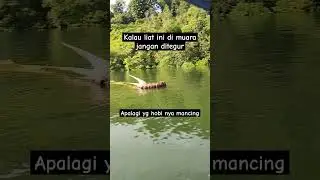 serem nipah hanyut di muara #mancing #nipah #ikan #muara #laut
