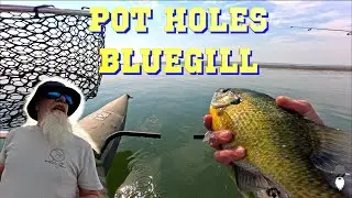 BLUEGILL Fishing - Potholes Reservoir
