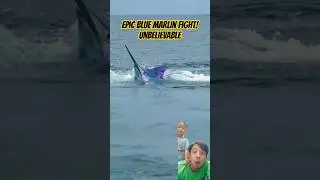 Epic Blue Marlin Fight! Unbelievable Fishing Action 🎣🔥 #amazing