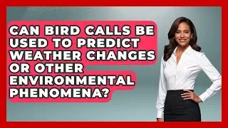 Can Bird Calls Be Used to Predict Weather Changes or Other Environmental Phenomena?