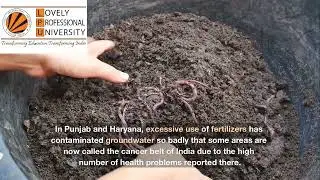 🌊 Impact of Water Pollution in India | 1st CA Project | Environmental Studies , CHE110 .