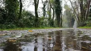Rain in the Park Path | Sleep, Relax, Meditate, Study, Work, ASMR