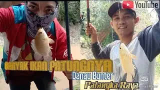 Mancing Dan Menjala Di Danau Bunter Palangka Raya Part 2 - Banyak Ikan Puyau Sama Ikan Patung
