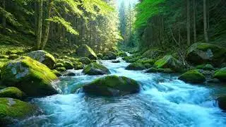 Relaxing Forest River Sounds 🌿 Flowing Water in a Peaceful Green Forest for Deep Relaxation