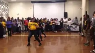 Omega Phi Beta Sorority Incorporated: Meet the Greeks at the University of New Haven
