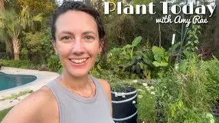 August Garden - Watermelon 🍉 takeover!