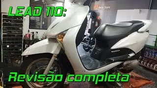 LEAD 110: Revis&atilde;o completa