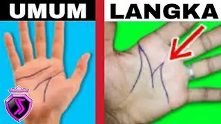 Hanya 3% di dunia, 5 garis tangan paling langka di dunia