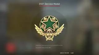 Upgrading 2021 Service medal CSGO