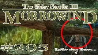 The Elder Scrolls III: Morrowind #205 - Eine neue Eingangssuche... | SoydonuemLP