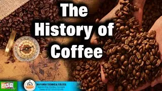 The History of Coffee