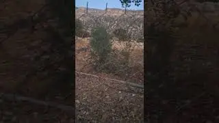 Gardens next to rare trees