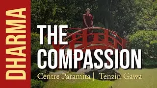 BUDDHISM & MEDITATION #11 : Great Compassion