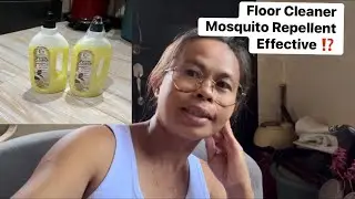 Floor Cleaner Mosquito Repellent Effective Solution Kaya ?