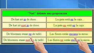 31. La negación