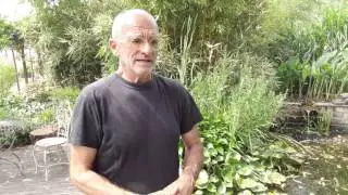 Piante ossigenanti: uno dei segreti per avere l'acqua del laghetto pulita e senza alghe!