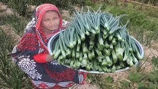 Farm Fresh Onion Leaves Recipe Green Sabzi Onion Leaves Harvesting With Puti Fish Curry Village Food