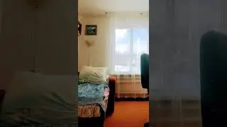#spidersoftheworld #spider