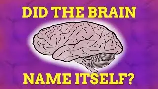 How Did The Brain Name Itself?
