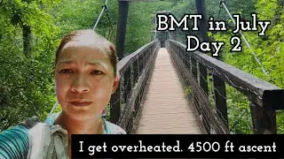 Benton MacKaye Trail Day 2:  Got Overheated. 4500 ft Ascent over Toonowee, Wallalah, and Licklog Mtn