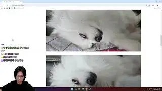 뗑컨, 포켓로그 2025-01-02