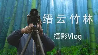 雨中竹林攝影教學，帶上佳能R5首次實景拍攝