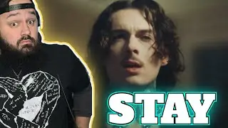 THE HARA - STAY (REACTION)