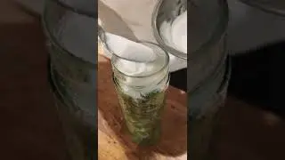 How did my mint syrup turn out?