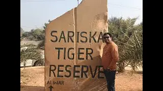 #sariskanationalpark  #pandupol #hanumamji #temple #junglesafari #theamitvlogsz @TheAmitVlogsz