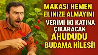 Makası hemen elinize almayın! Verimi iki katına &ccedil;ıkaracak AHUDUDU BUDAMA HİLESİ! 🍇