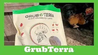 Grub Terra Black Soldier Fly Larvae Review