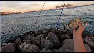 PESCA A SURFCASTING en CADIZ LA TERMICA. PESCA CON CHOCO Y MUERGO-NAVAJAS &iexcl;SARGOS&iexcl;