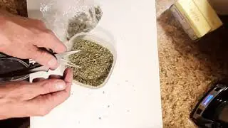 Canna - Butter made Easy!!! Part one ****Bonus Penelope Update
