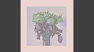 Counting Petals