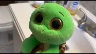 CPB video: Bowser the real turtle
