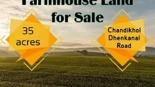 35 Acre Farmhouse Land for Sale on Chandikhol Dhenkanal Road