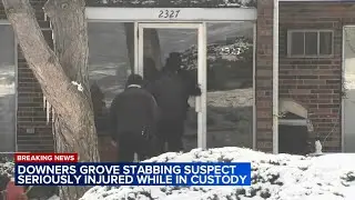 BREAKING: Man charged with killing pregnant woman in Downers Grove critically injured in custody