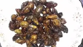 Halela/Halila Siyah Ko Banane Ka Tarika || ہلیلہ سیاہ کو بریاں کیسے کرتے ہیں؟ |