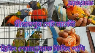 Today Shrirampur Pet Market 🐦Recent Birds Price Update🦜25/01/2026🐦ব্রিডিং পেয়ার//হ্যান্ড ফিডিং পাখি
