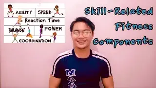 Physical Education | Skill-Related Fitness Components