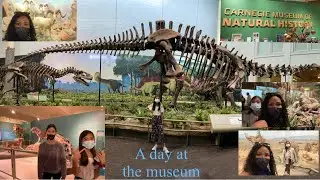 CARNEGIE MUSEUM OF NATURAL HISTORY ( PITTSBURGH PA )